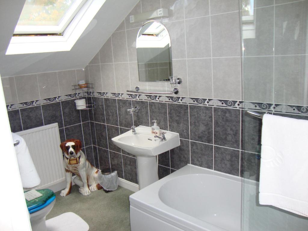 Sherwood Hotel - B&B Harrogate Buitenkant foto